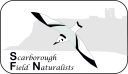 SFNS Logo