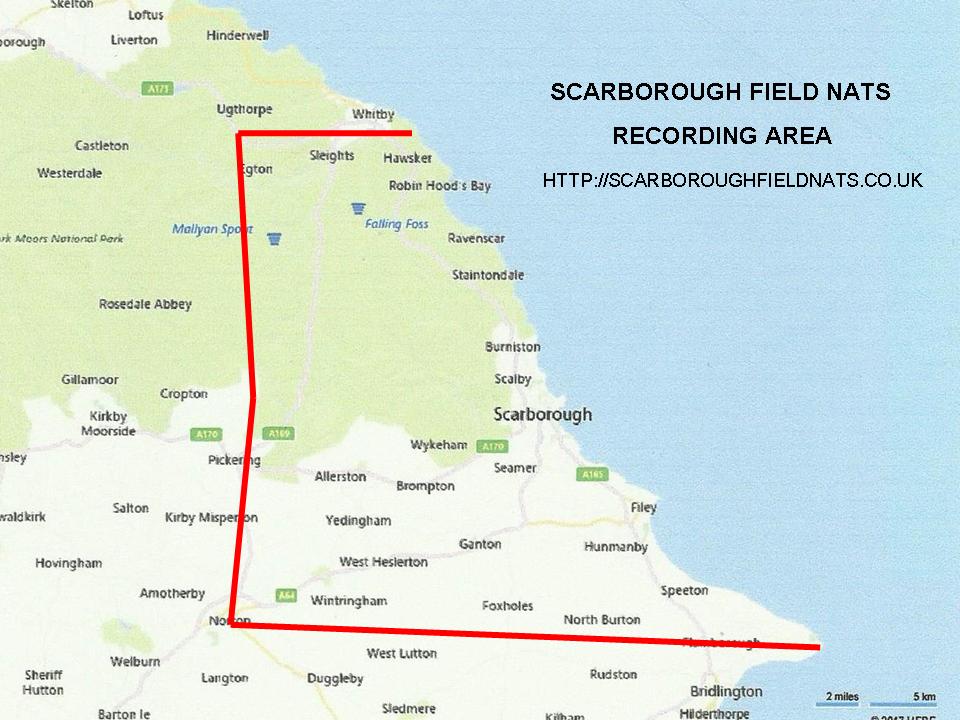 Area